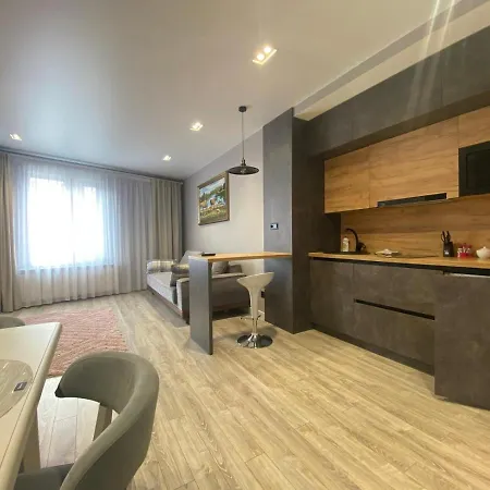 Apartment Viktor
